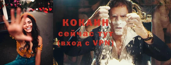 дживик Алзамай