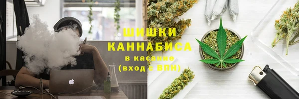 кокс Алексин