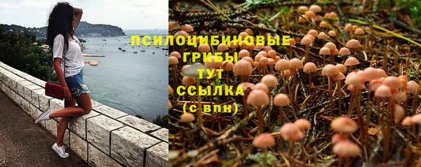 кокс Алексин
