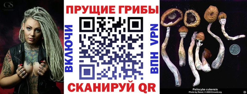 Галлюциногенные грибы прущие грибы  Чехов 